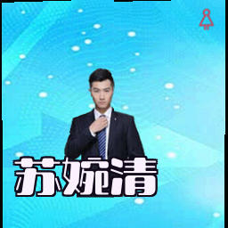 苏婉清